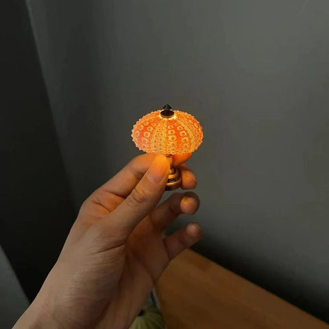 Diy Sea Urchin Night Light