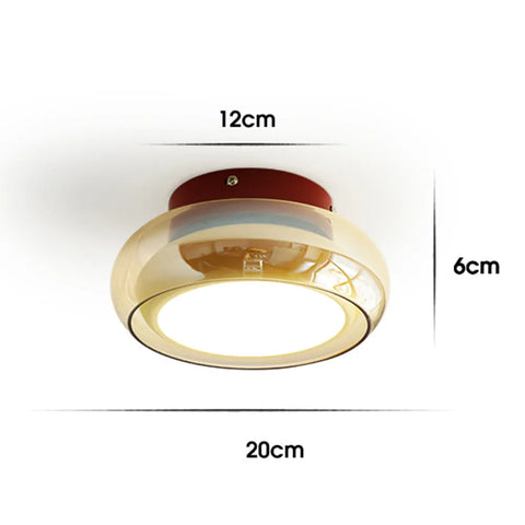 Vintage Small Acrylic Led Ceiling Light