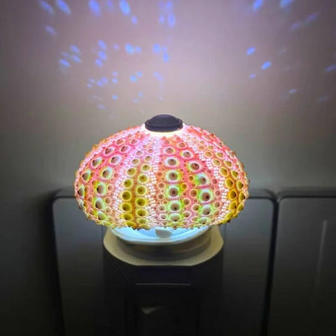 Diy Sea Urchin Night Light