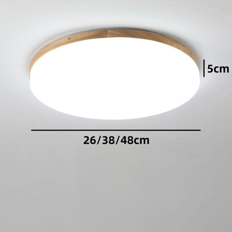 Simple Round Acrylic Led Ceiling Light