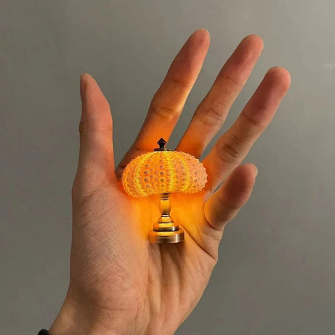 Diy Sea Urchin Night Light
