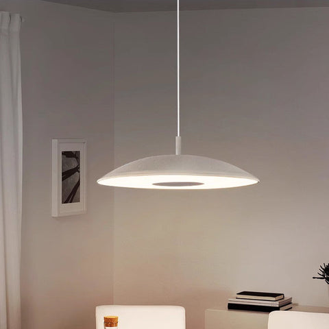 Iron Nickel Pendant Lights | LED