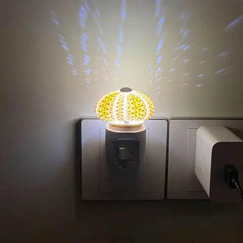 Diy Sea Urchin Night Light