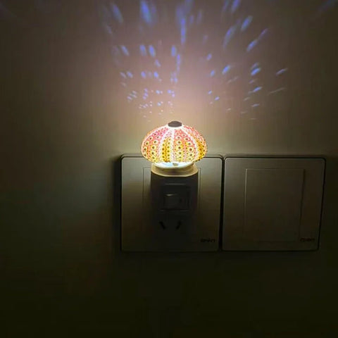 Diy Sea Urchin Night Light