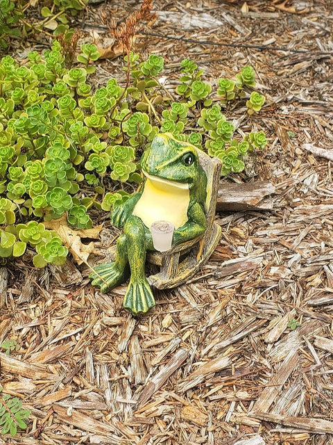 Glowing Garden Frog | Creative Outdoor Decor with Soft Light