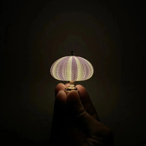 Diy Sea Urchin Night Light