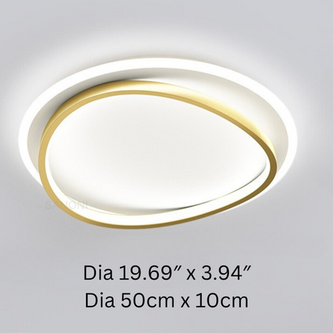 Modern Ceiling Light
