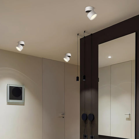 Savvina Surface Ceiling Light |  Adjustable LED Spotlight for Art & Decor