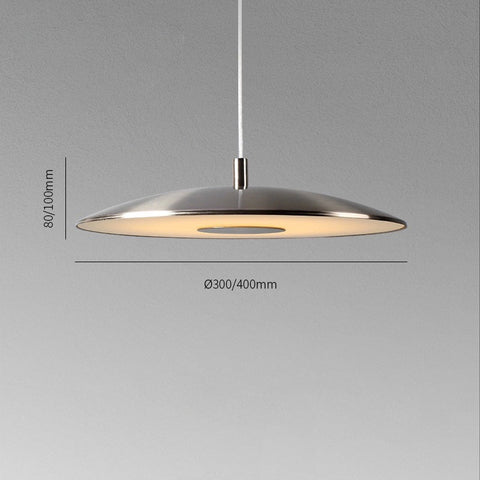 Iron Nickel Pendant Lights | LED