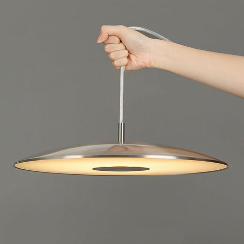 Iron Nickel Pendant Lights | LED