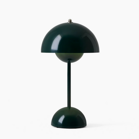 Auroraglo LED Light