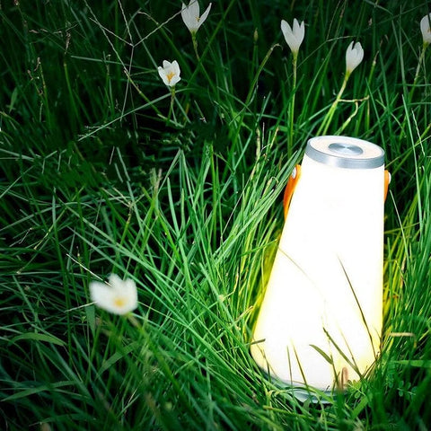 Portable Led Camping Light For Outdoors