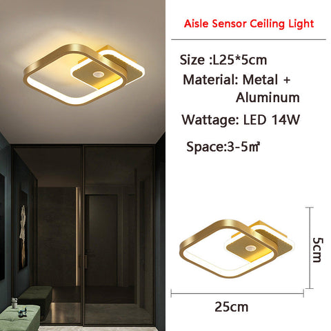 Human PIR Motion Sensor | Ceiling Light | LED