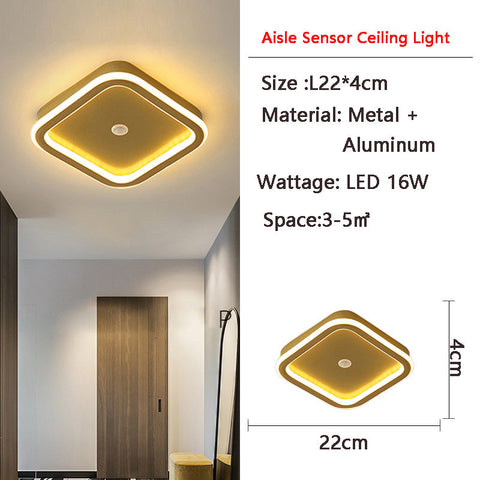 Human PIR Motion Sensor | Ceiling Light | LED