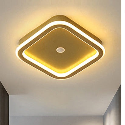 Human PIR Motion Sensor | Ceiling Light | LED