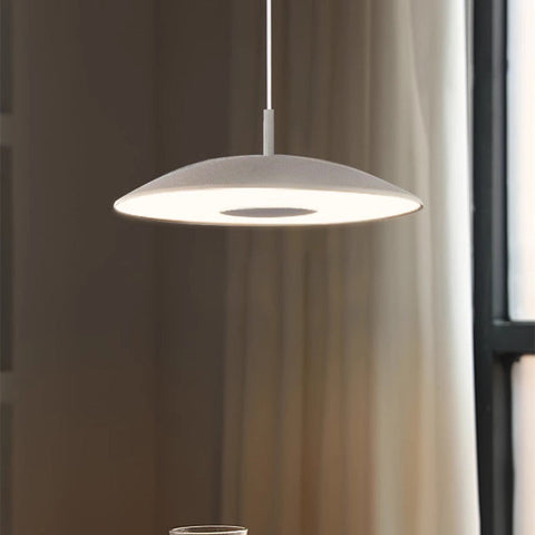 Iron Nickel Pendant Lights | LED