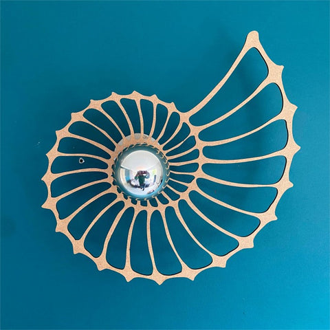 Nautilus Shell Design Decorative Wall Light