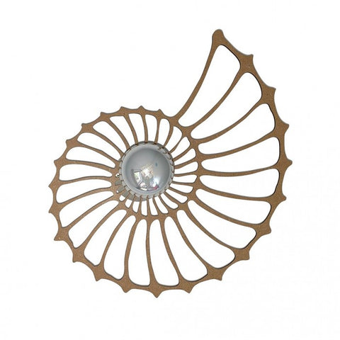 Nautilus Shell Design Decorative Wall Light