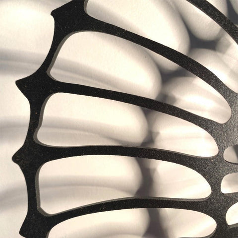 Nautilus Shell Design Decorative Wall Light