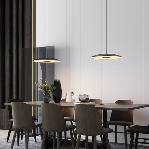 Iron Nickel Pendant Lights | LED