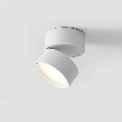 Savvina Surface Ceiling Light |  Adjustable LED Spotlight for Art & Decor