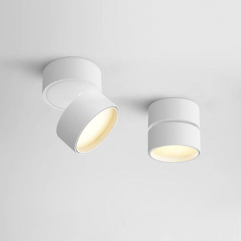 Savvina Surface Ceiling Light |  Adjustable LED Spotlight for Art & Decor