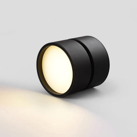 Savvina Surface Ceiling Light |  Adjustable LED Spotlight for Art & Decor