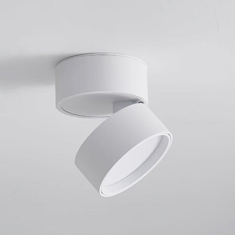 Savvina Surface Ceiling Light |  Adjustable LED Spotlight for Art & Decor