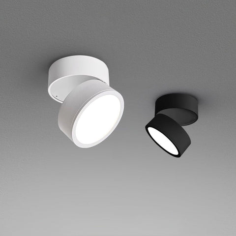 Savvina Surface Ceiling Light |  Adjustable LED Spotlight for Art & Decor