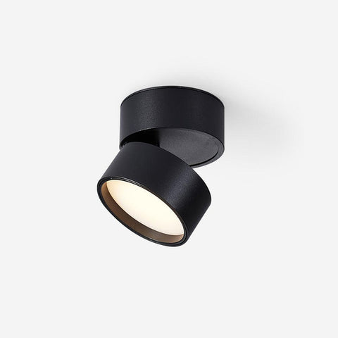 Savvina Surface Ceiling Light |  Adjustable LED Spotlight for Art & Decor
