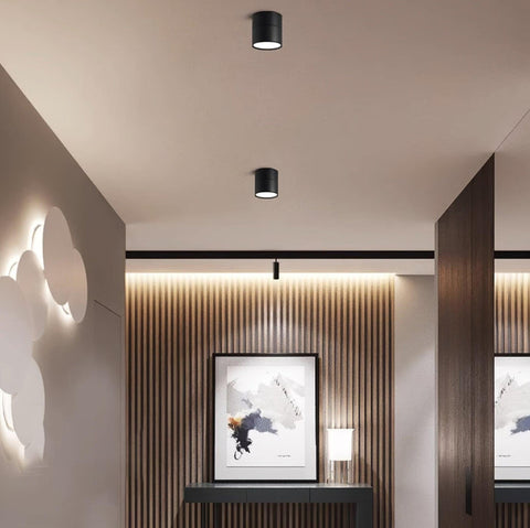 Savvina Surface Ceiling Light |  Adjustable LED Spotlight for Art & Decor
