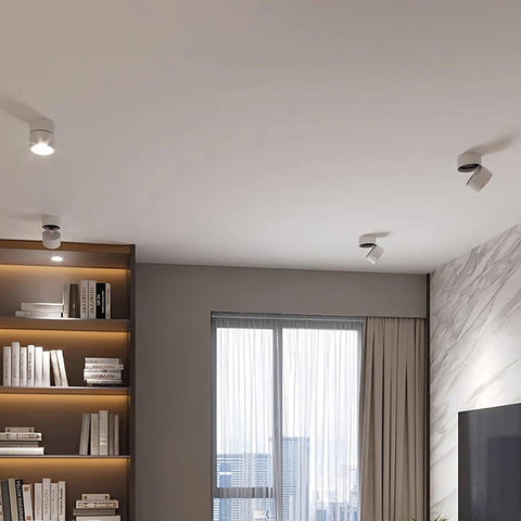 Savvina Surface Ceiling Light |  Adjustable LED Spotlight for Art & Decor
