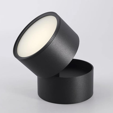 Savvina Surface Ceiling Light |  Adjustable LED Spotlight for Art & Decor