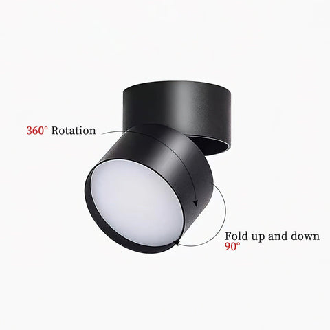 Savvina Surface Ceiling Light |  Adjustable LED Spotlight for Art & Decor