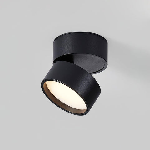 Savvina Surface Ceiling Light |  Adjustable LED Spotlight for Art & Decor
