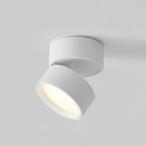 Savvina Surface Ceiling Light |  Adjustable LED Spotlight for Art & Decor