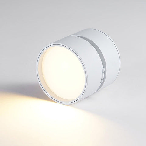 Savvina Surface Ceiling Light |  Adjustable LED Spotlight for Art & Decor