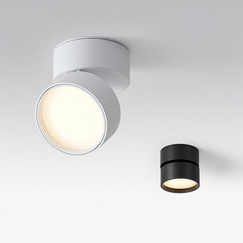 Savvina Surface Ceiling Light |  Adjustable LED Spotlight for Art & Decor