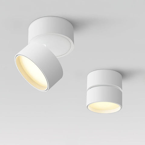 Savvina Surface Ceiling Light |  Adjustable LED Spotlight for Art & Decor